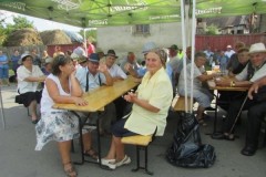 fiii-satului-25